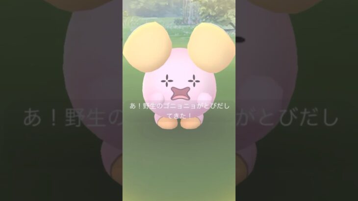 でかい！ゴニョ！#ポケモンgo #pokemongo