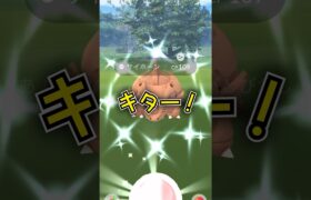 【色違い】サイホーン！キター♫ #ポケモンgo #pokemongo