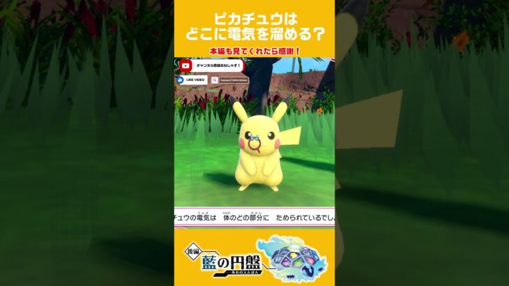 ピカチュウと電気 #shorts #ポケモンsv #pokemon #ポケモン #藍の円盤