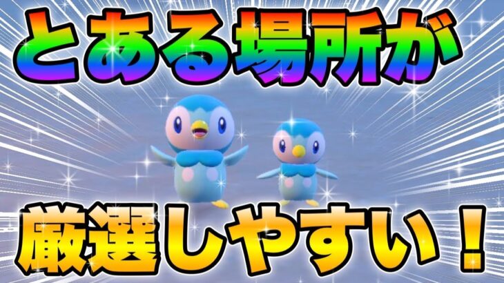 【ポケモンsv厳選】色違いポッチャマの効率的な入手方法！