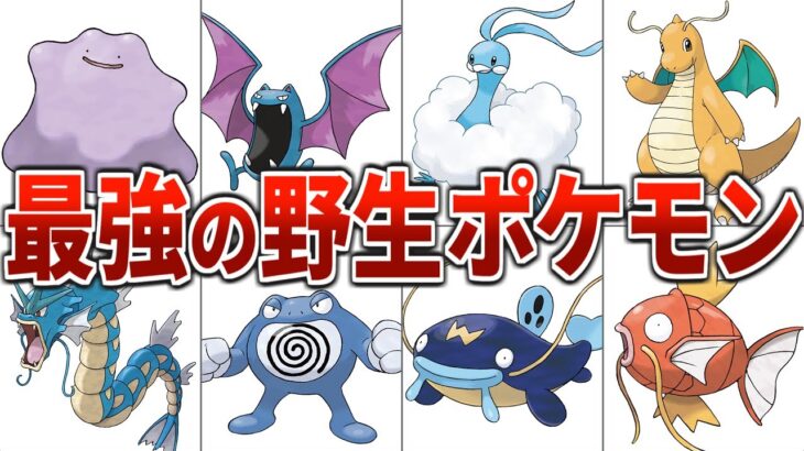 【最強はどの世代？】世代別野生ポケモン最高レベルランキング【歴代ポケモン】