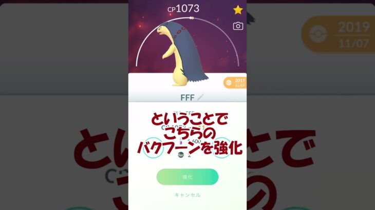 バクフーン個体値100％PL50強化✨ #pokemongo #ポケモンgo