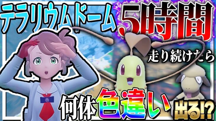 テラリウムドームを5時間走り続けたら何体色違いをゲットできるのか！？【ポケモンSV】【ゆっくり実況】