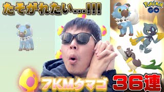 色違いでたそがれたい！！7KMタマゴ36連【ポケモンGO】