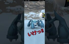 CP3261【ポケモンGO】【ブルックGO】 #shorts