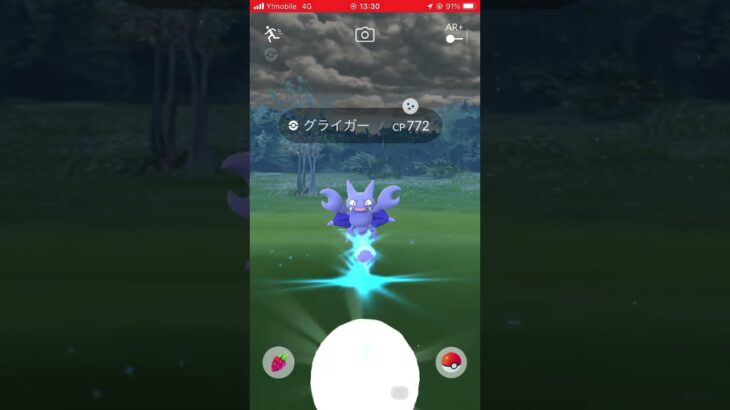 【ポケモンGO】色違いのグライガー