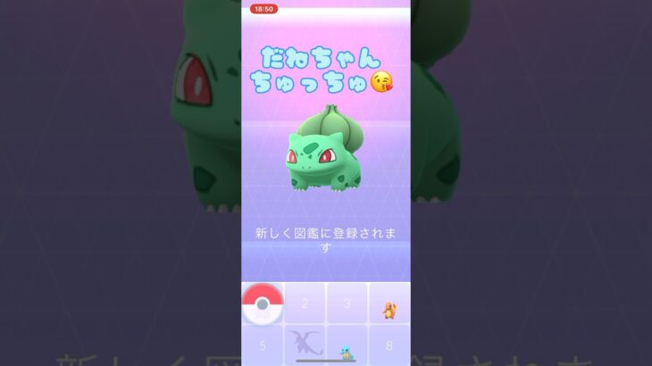 【ポケモンGO】だねちゃん😘