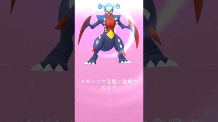 【ポケモンGO】ガブリアスをメガシンカさせるよん