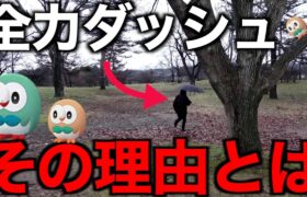 モクローコミュニティデイにて魂の全力ダッシュをかましました【ポケモンGO】