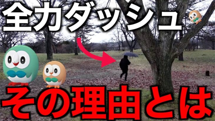 モクローコミュニティデイにて魂の全力ダッシュをかましました【ポケモンGO】