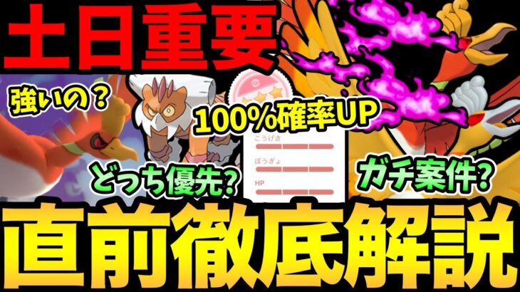 明日はこれが重要！シャドウホウオウはガチ案件？狙うべきは〇〇個体！ランドロスが優先？気になる疑問を徹底解説！【 ポケモンGO 】【 GOバトルリーグ 】【 GBL 】【 スーパーリーグ 】