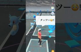 【ポケモンGO: 辰年】タッツーが現れた!!【✨Horsea & Kingdra Pokémon GO X Pokemon Card Artwalk ✨】