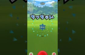 【毎日ポケモンGO】ちっちゃい！ドーミラー♫ #ポケモンgo #pokemongo #ドーミラー