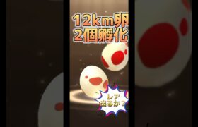 【ポケモンGO】12km卵2個孵化レア出るか？ #ポケモンgo #pokemongo #pokémongo #ポケモン