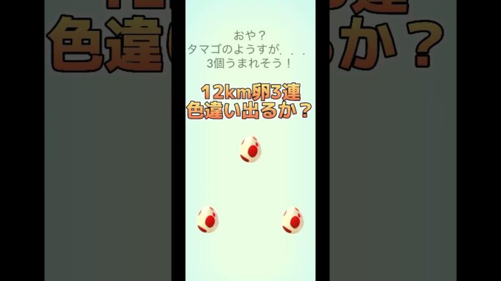 【ポケモンGO】12km卵3連！色違い出るか？#ポケモンgo #pokemongo #pokémongo