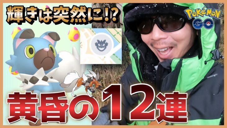 【ポケモンGO】ままままさかの輝き！？色違え！たそがれイワンコ１２連！CampFireを駆使しながらタスク＆７タマで勝負を仕掛ける金沢の傾奇者スペシャル！【ルガルガン】