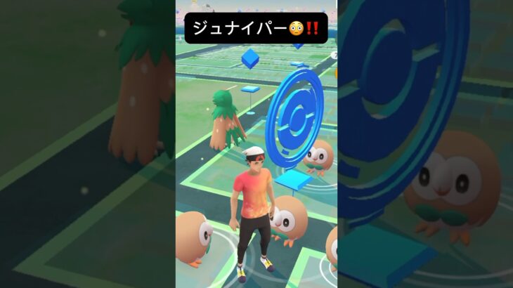 【ポケモンGO】ジュナイパーが現れた!!【✨Decidueye Pokémon GO X Pokemon Card Artwalk ✨】