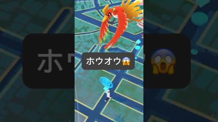 【ポケモンGO】ホウオウが現れた!!【✨Ho-oh Pokémon GO X Pokemon Card Artwalk✨】