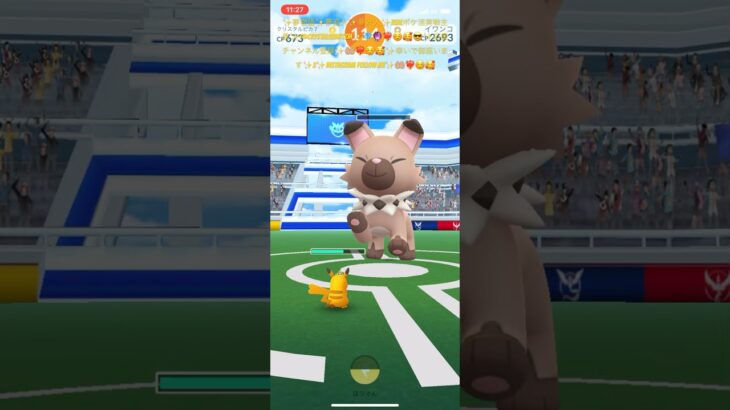 ✨【ポケモンGO】【可愛い】【イワンコたそがれ】【色違いピカチュウ】✨❤️‍🔥☺️🥰✨イワンコたそがれちゃん🐶VS色違いクリスタルピカ７ちゃん✨イワンコたそがれちゃん🐶✨捕まえた瞬間✨🐶🤗