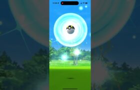 【ポケモンGO】色違いモクロー！コミュニティデイ　#shorts