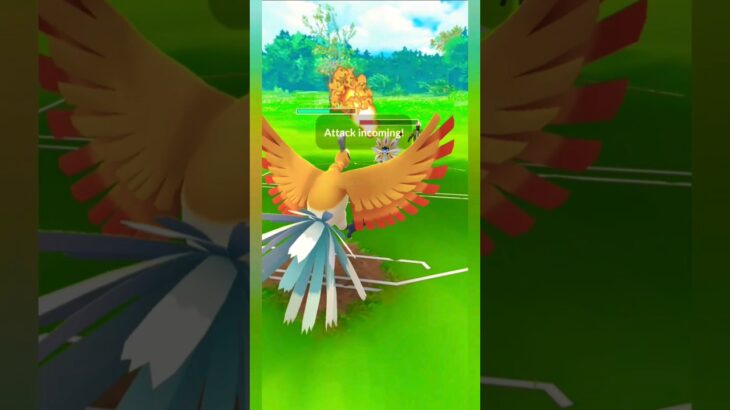 Ho-oH🔥destroyed all three pokemon🤯! Rayquaza☄Vs Annihilape☠! Gbl ! Pokemon Go