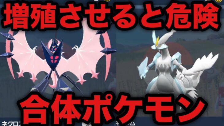 【ポケモンSV】絶対に増殖してはいけないポケモンを増殖するとこうなる【スカーレット・バイオレット】