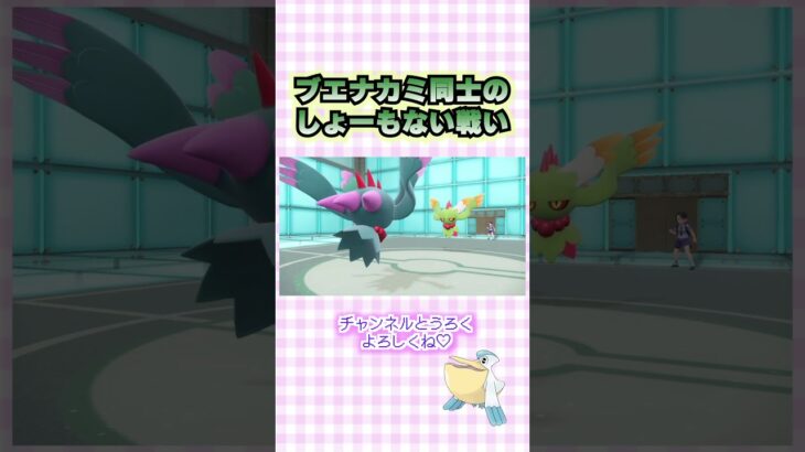 【ポケモンSV】ブエナカミのお決まり行動【ポケモンスカーレットバイオレット】