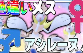 アシレーヌちゃんはおしまい！色違い「メス」アシレーヌが欲しい！【ポケモンSV】【ゆっくり実況】