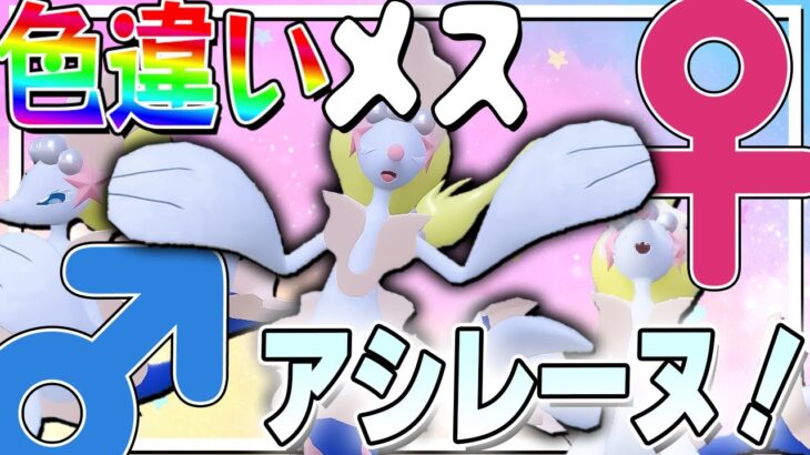 アシレーヌちゃんはおしまい！色違い「メス」アシレーヌが欲しい！【ポケモンSV】【ゆっくり実況】