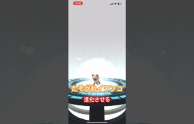 たそがれたイワンコを進化させてみる。#ポケモン #ポケモンgo