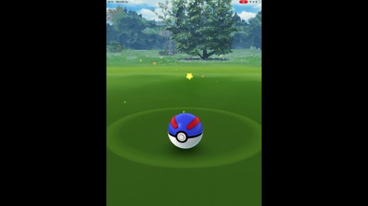 色違いポリゴン　#ポケモンgo色違い