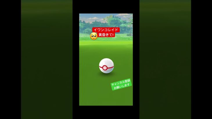 黄昏ルガルガン進化させたかった… #ポケモンgo #ポケgo #ポケモン #pokemongo #pokemon #pokémon #黄昏 #イワンコ #チャンネル登録お願いします #shorts