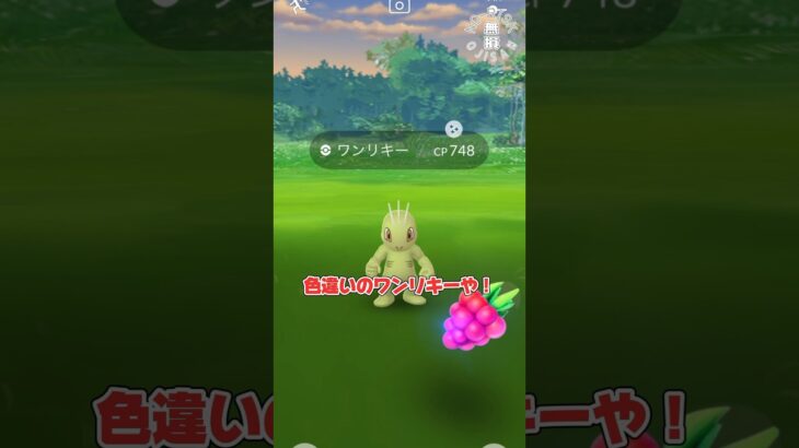 【色違いのワンリキー！！✨】#ポケモンgo #ポケモン #pokémongo #pokémon #色違い #ゲーム実況 #shorts #ゲーム #games #おもしろ動画 #アルセウス #ポケカ