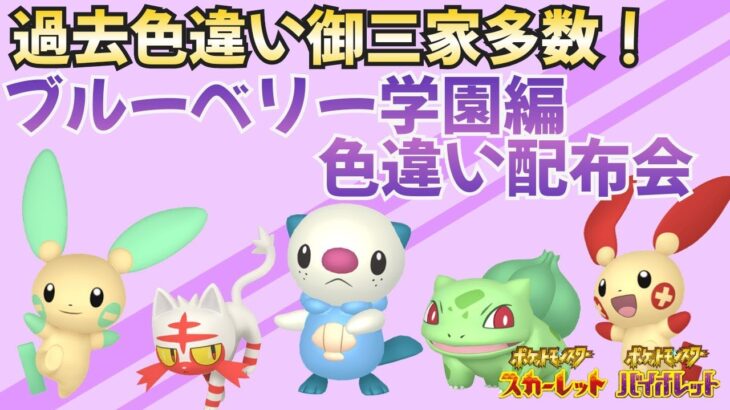 【ポケモンsv】あとちょっと続くみたいです！色違い御三家＆いろんなイロチポケモン大量配布会！【初見さん歓迎！】