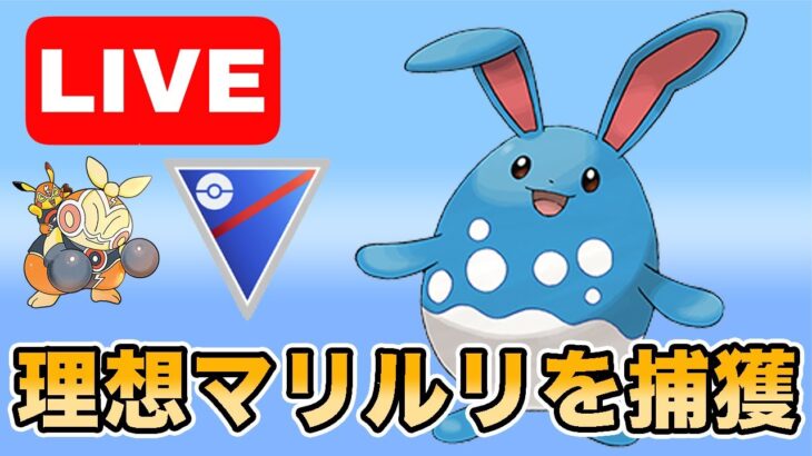 【生配信】ついに1位個体のマリルリを捕まえたので早速使っていく！  Live #986【スーパーリーグ】【GOバトルリーグ】【ポケモンGO】