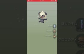 【新実装】ブロロン出た！【12キロ卵11連】#ポケモンgo