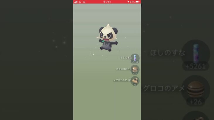 【新実装】ブロロン出た！【12キロ卵11連】#ポケモンgo