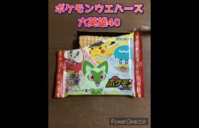 【お菓子】ポケモンウエハースチョコ　シール　アニポケ　六英雄　開封40