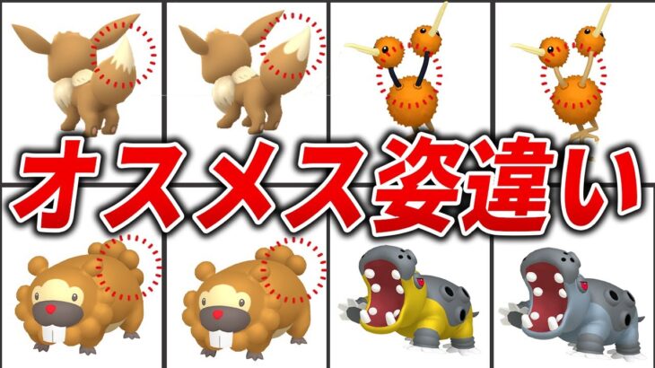 【9割が知らない】オスとメスで姿が違うポケモン20選【歴代ポケモン】