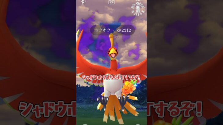 【シャドウホウオウGETなるか？！】#ポケモンgo  #ポケモン #Pokémongo #Pokémon #shorts #おもしろ動画 #ゲーム実況 #シャドウ #伝説 #レイド #ポケカ #アプリ