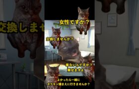 ポケモンGOで起こった奇跡の出会い【猫ミーム】