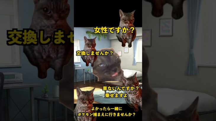 ポケモンGOで起こった奇跡の出会い【猫ミーム】