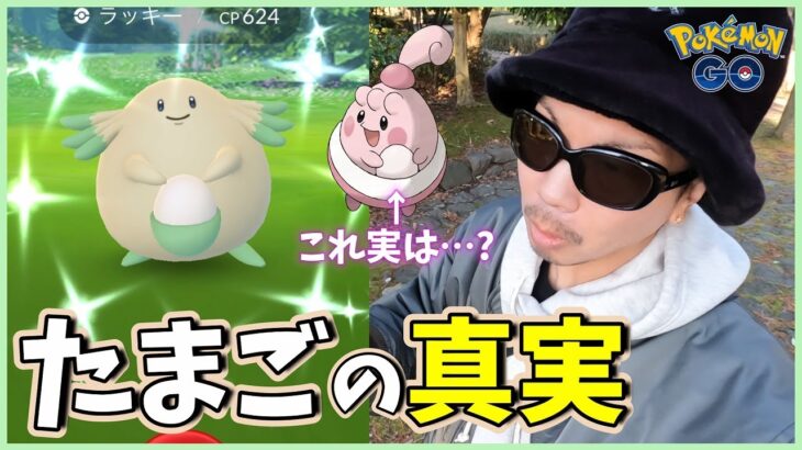 【ポケモンGO】幸せを運びます！ラッキーのコミュデイでたまごポケモンを解明せよ！色違えピンプク１４連チャレンジスペシャル！【ワイルドボルト】