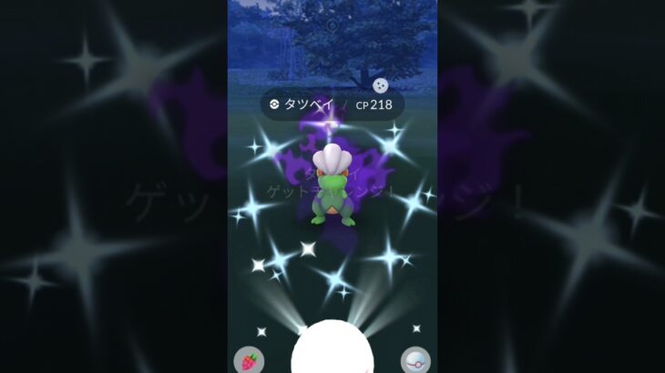 【ポケGO】アルロ！色違いタツベイよこせや！ #ポケgo #ポケモンgo#色違いポケモン