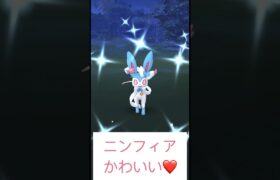 ニンフィア再来　ポケモンGO pokemon GO