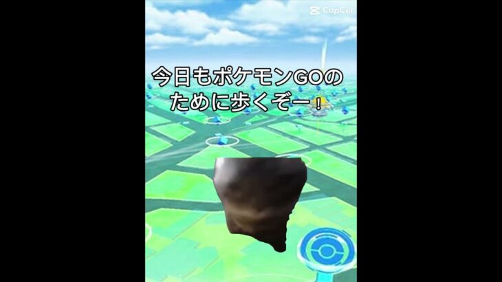 【猫ミーム】ポケモンGOあるある②【 #ポケモン #pokémon #ポケgo #ポケットモンスター 】