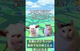 【猫ミーム】ポケモンGOを友達によくお勧めするけど反応が薄い【 #pokémon #ポケモン #ポケモンgoバトルリーグ #ポケモンgo #ハイパーリーグ 】