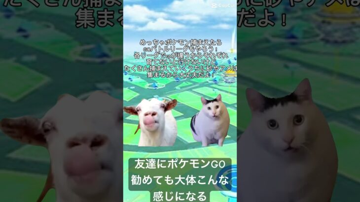 【猫ミーム】ポケモンGOを友達によくお勧めするけど反応が薄い【 #pokémon #ポケモン #ポケモンgoバトルリーグ #ポケモンgo #ハイパーリーグ 】