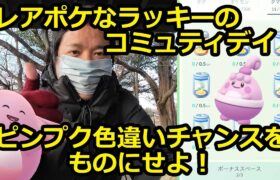 【ポケモンGO】レアポケなラッキーのコミュニティデイ！12連でピンプクの色違いを狙う！