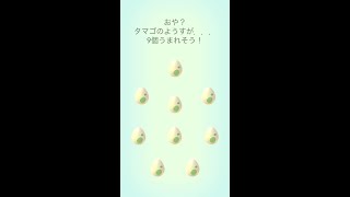 【ポケモンGO】GOツアー前に連続ふか